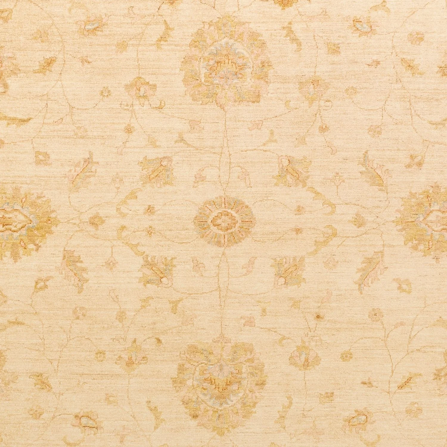 Ziegler Teppich - 396 x 305 cm - beige - Image 2