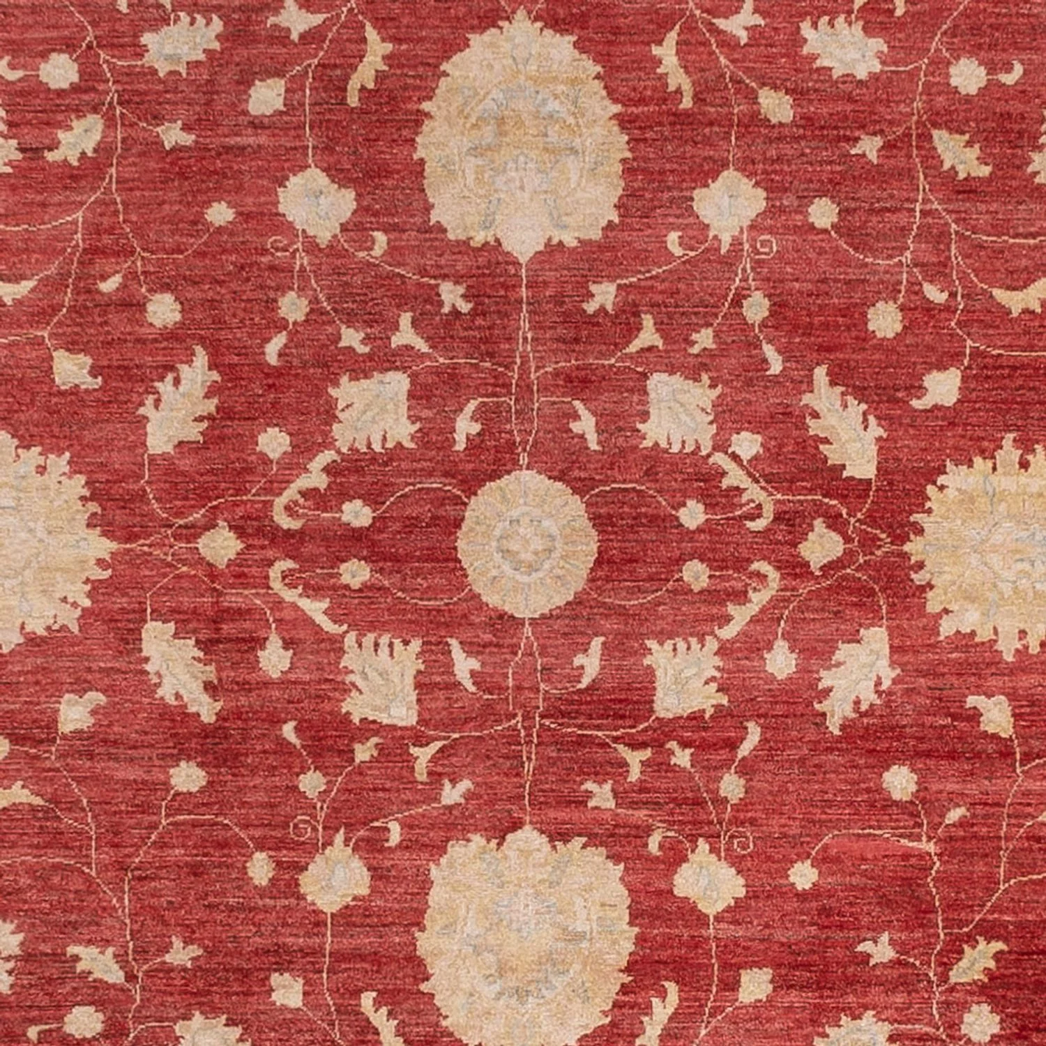Ziegler Teppich 444x310cm - Orientteppich - Image 2