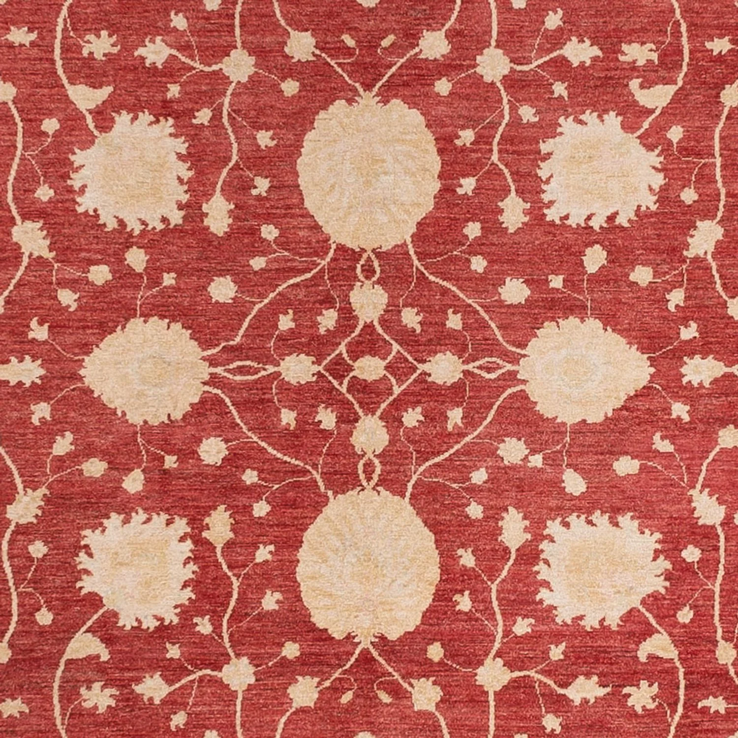 Ziegler Teppich 484x304cm - Orientteppich - Image 2