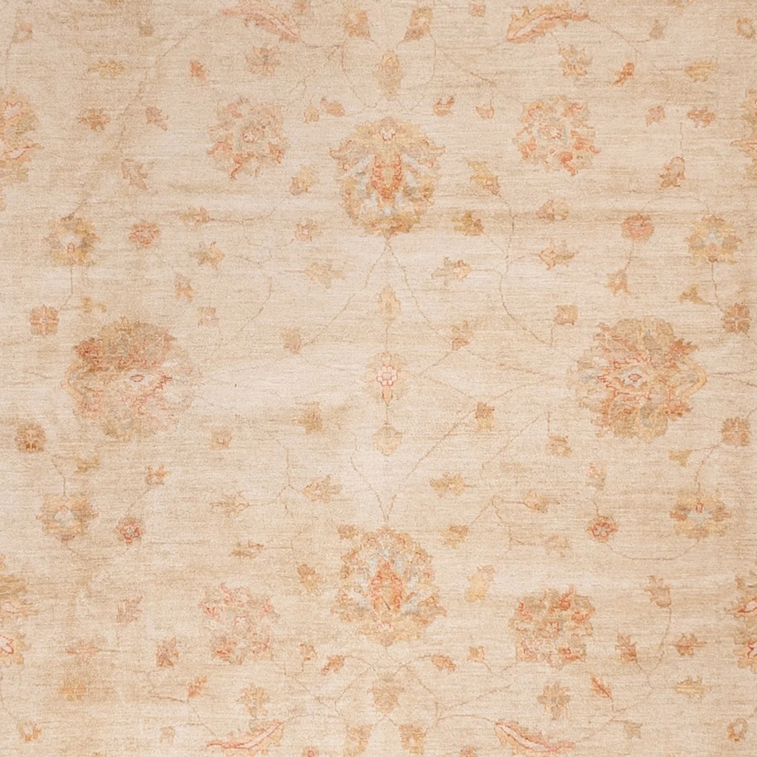 Ziegler Teppich 498x405cm - Orientteppich - Image 2