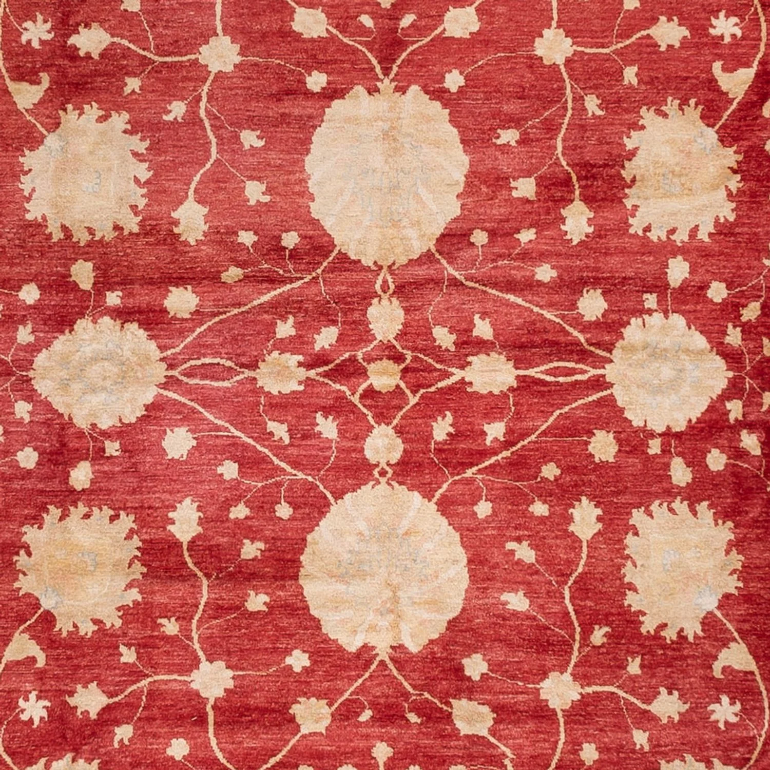 Ziegler Teppich - 521 x 400 cm - beige - Image 2