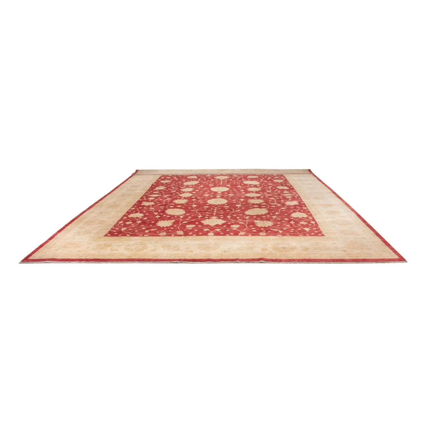 Ziegler Teppich - 521 x 400 cm - beige - Image 5