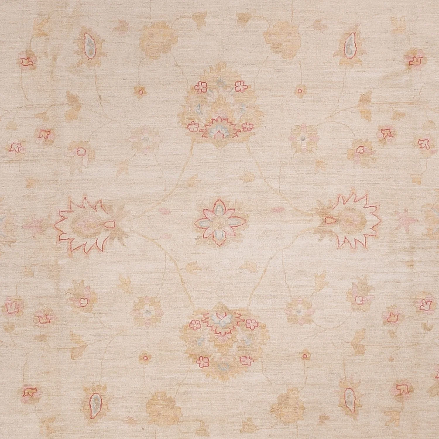 Ziegler Teppich 538x350cm - Orientteppich - Image 2