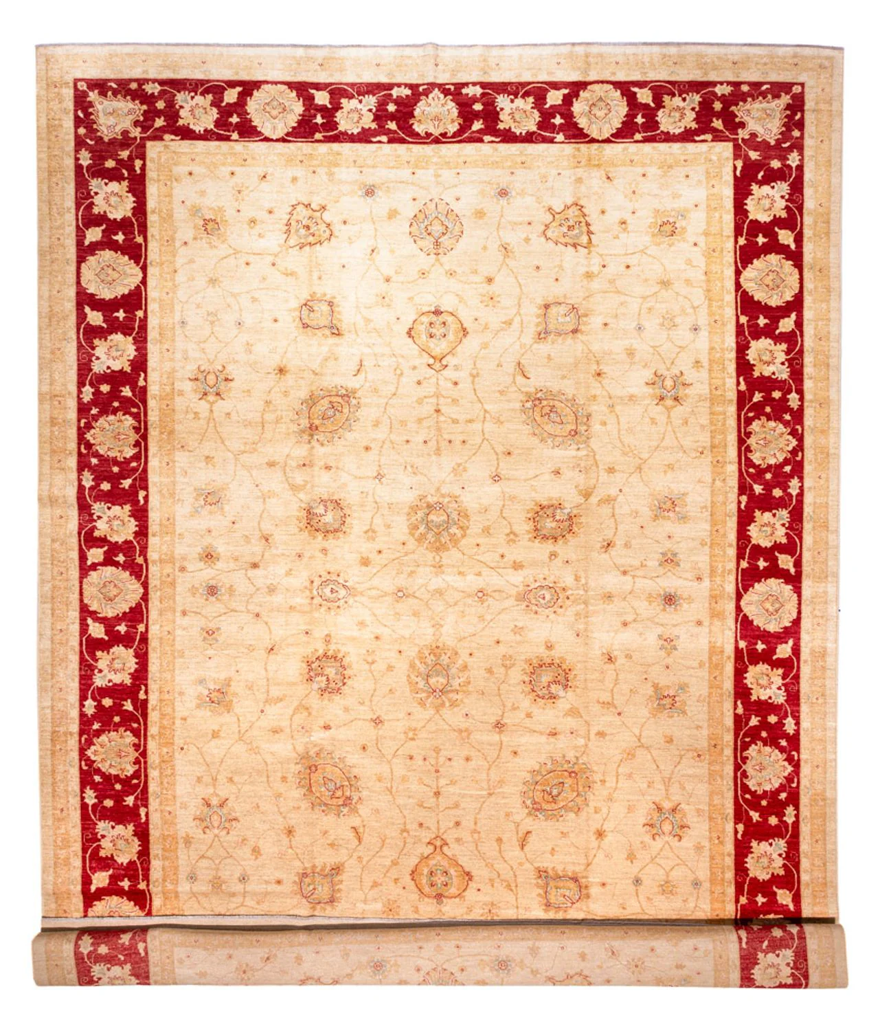 Ziegler Teppich 584x394cm - Orientteppich