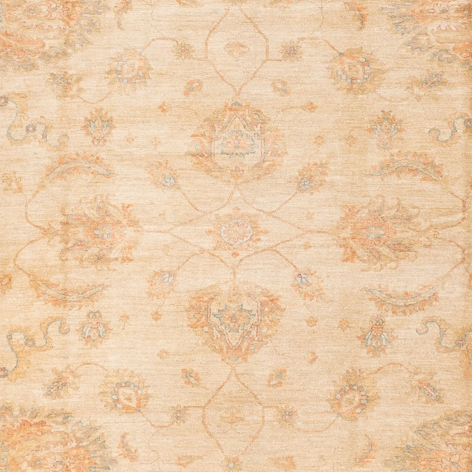 Ziegler Teppich - 585 x 396 cm - beige - Image 2