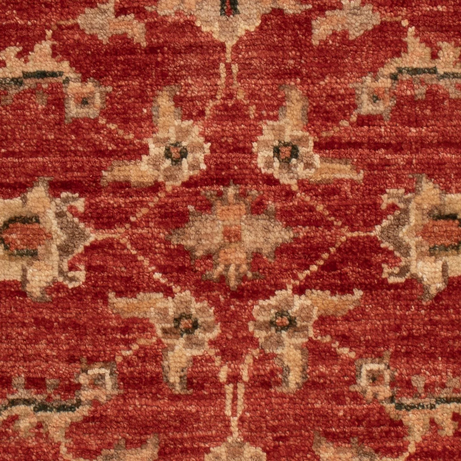 Ziegler Teppich 63x52cm - Orientteppich - Image 2