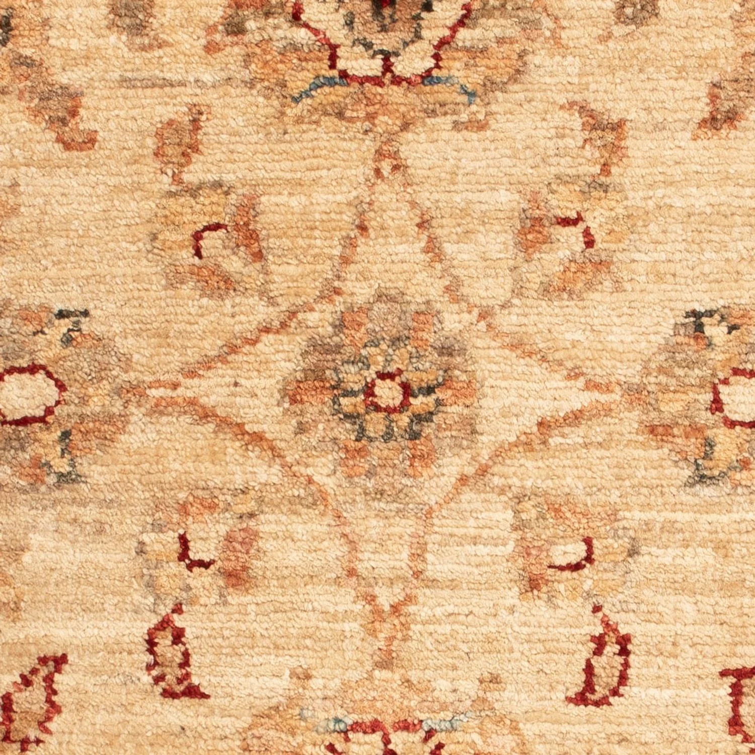 Ziegler Teppich 65x51cm - Orientteppich - Image 2