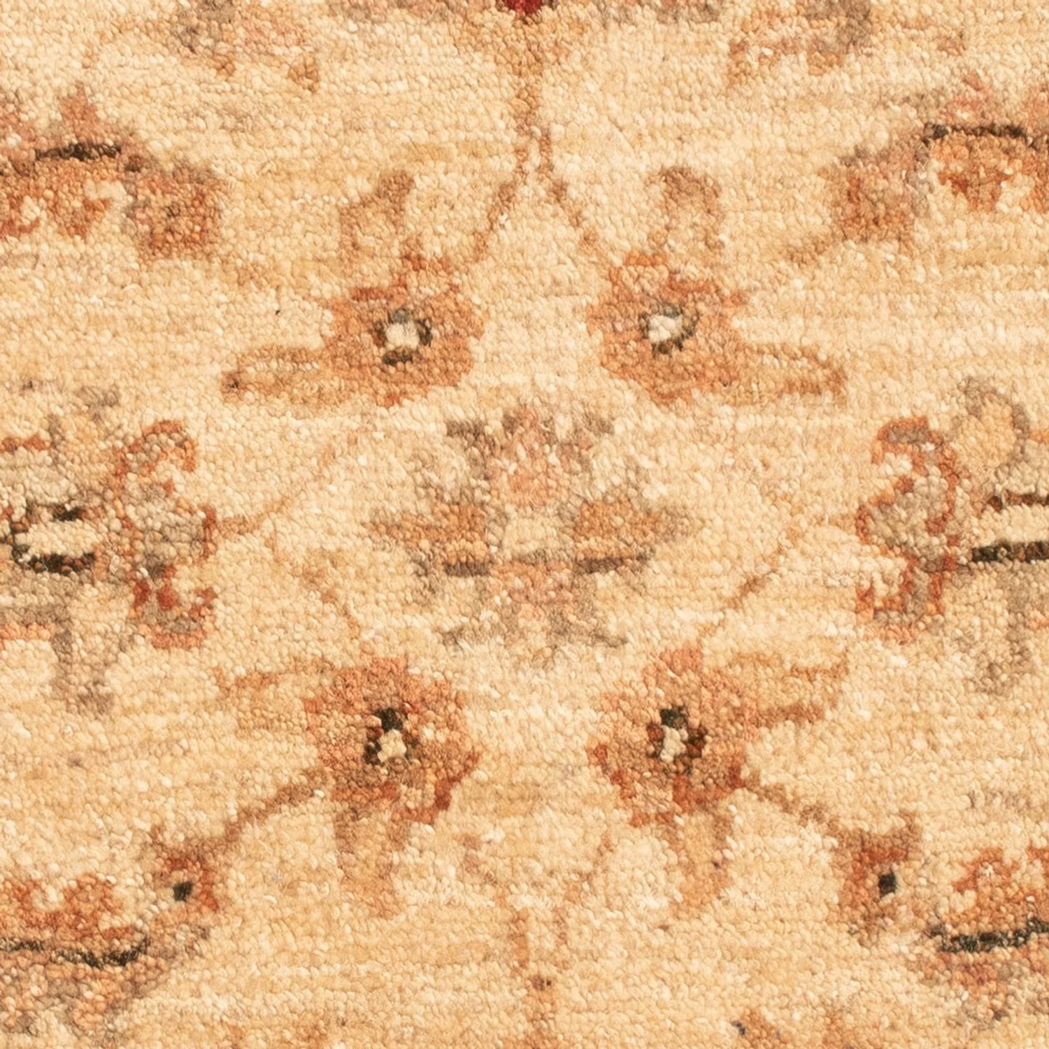 Ziegler Teppich 66x51cm - Orientteppich - Image 2