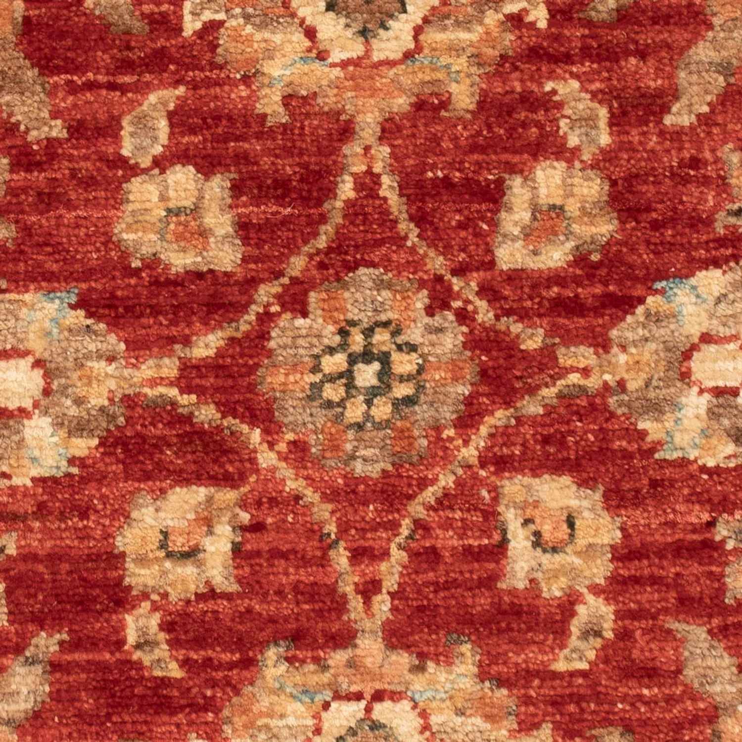 Ziegler Teppich 66x52cm - Orientteppich - Image 2