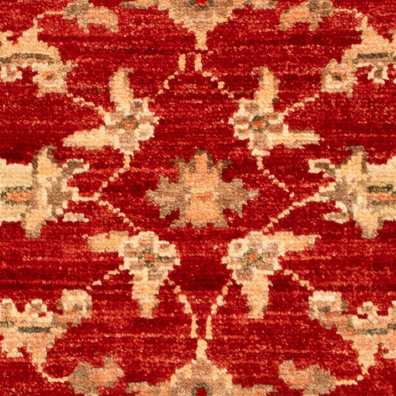 Ziegler Teppich 68x51cm - Orientteppich - Image 2