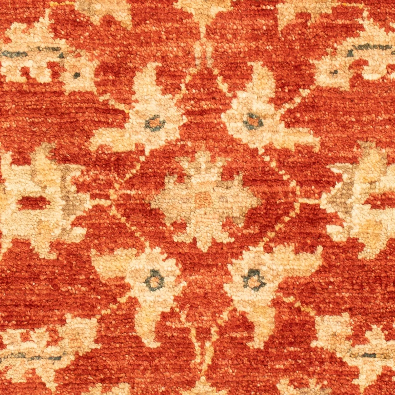 Ziegler Teppich 70x53cm - Orientteppich - Image 2