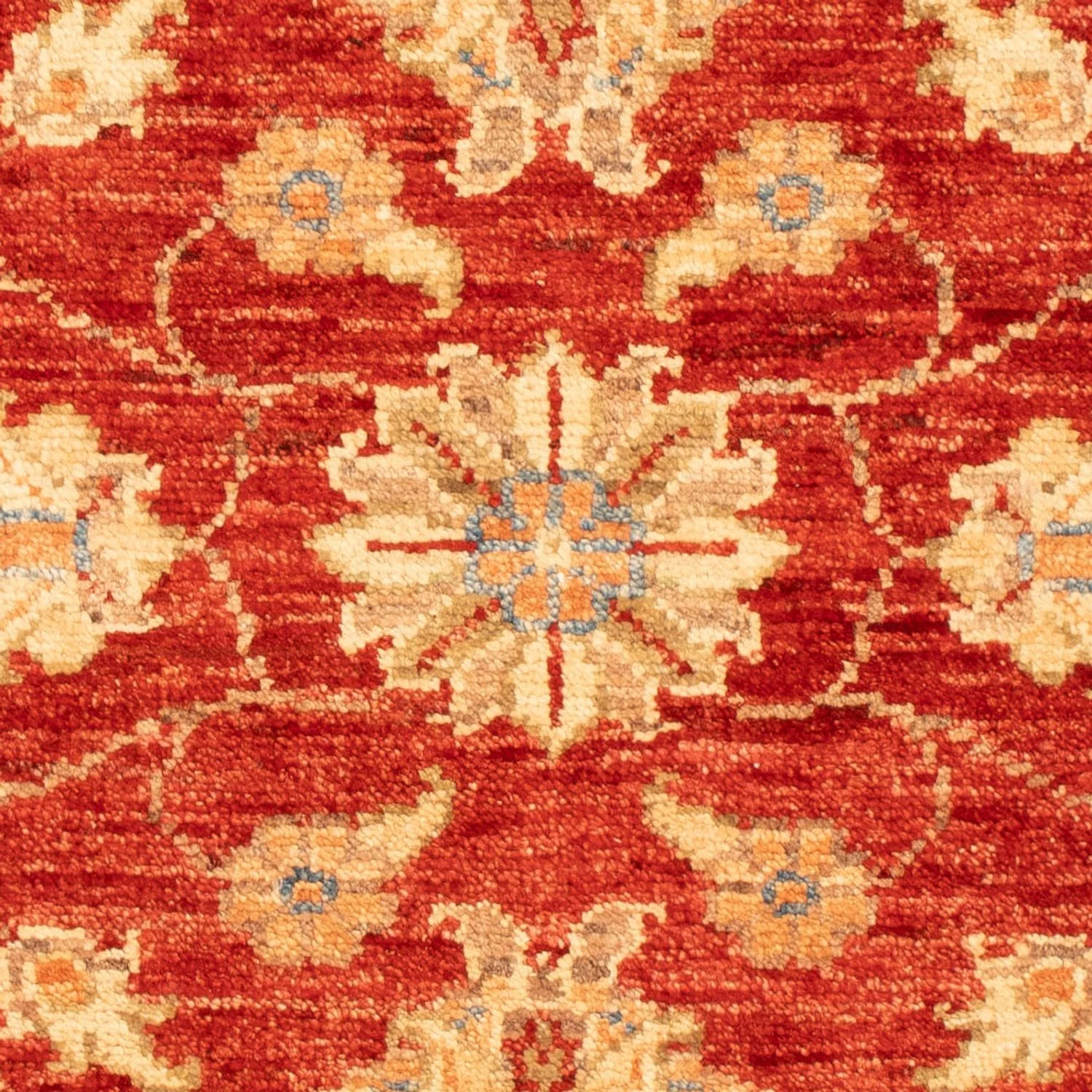 Ziegler Teppich - 92 x 63 cm - rot - Image 2