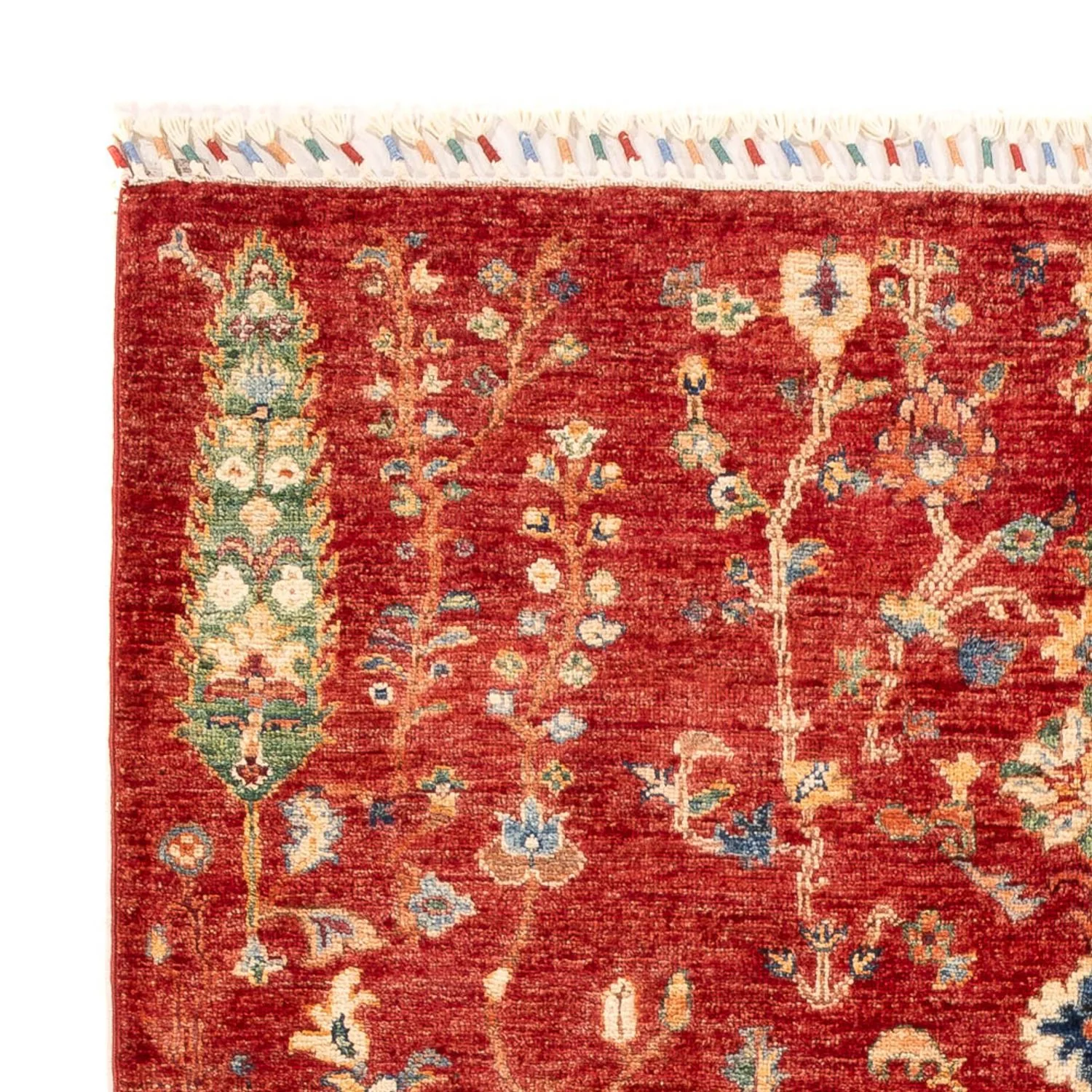 Ziegler Teppich - Ariana - 177 x 123 cm - rot - Image 3