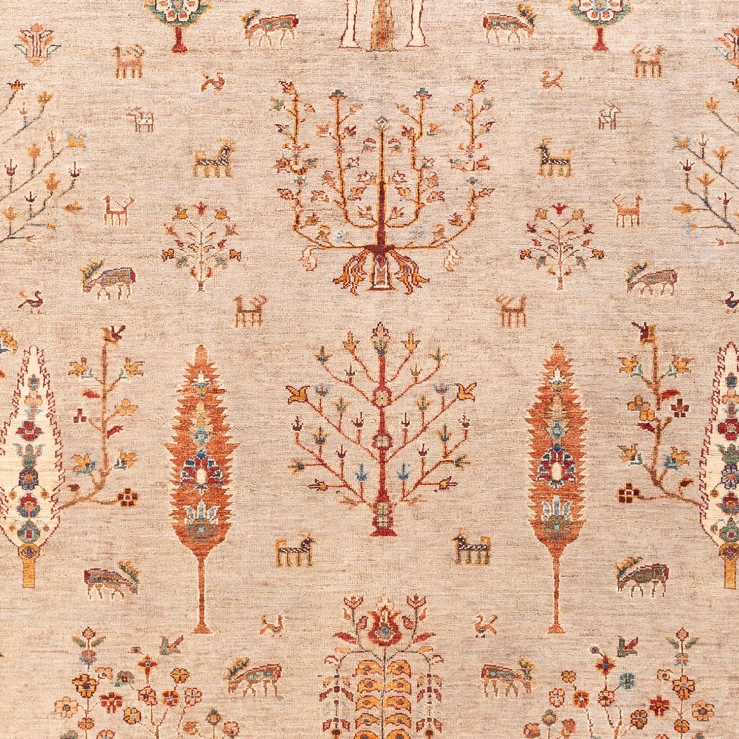 Ziegler Teppich - Ariana - 292 x 204 cm - rosa - Image 2