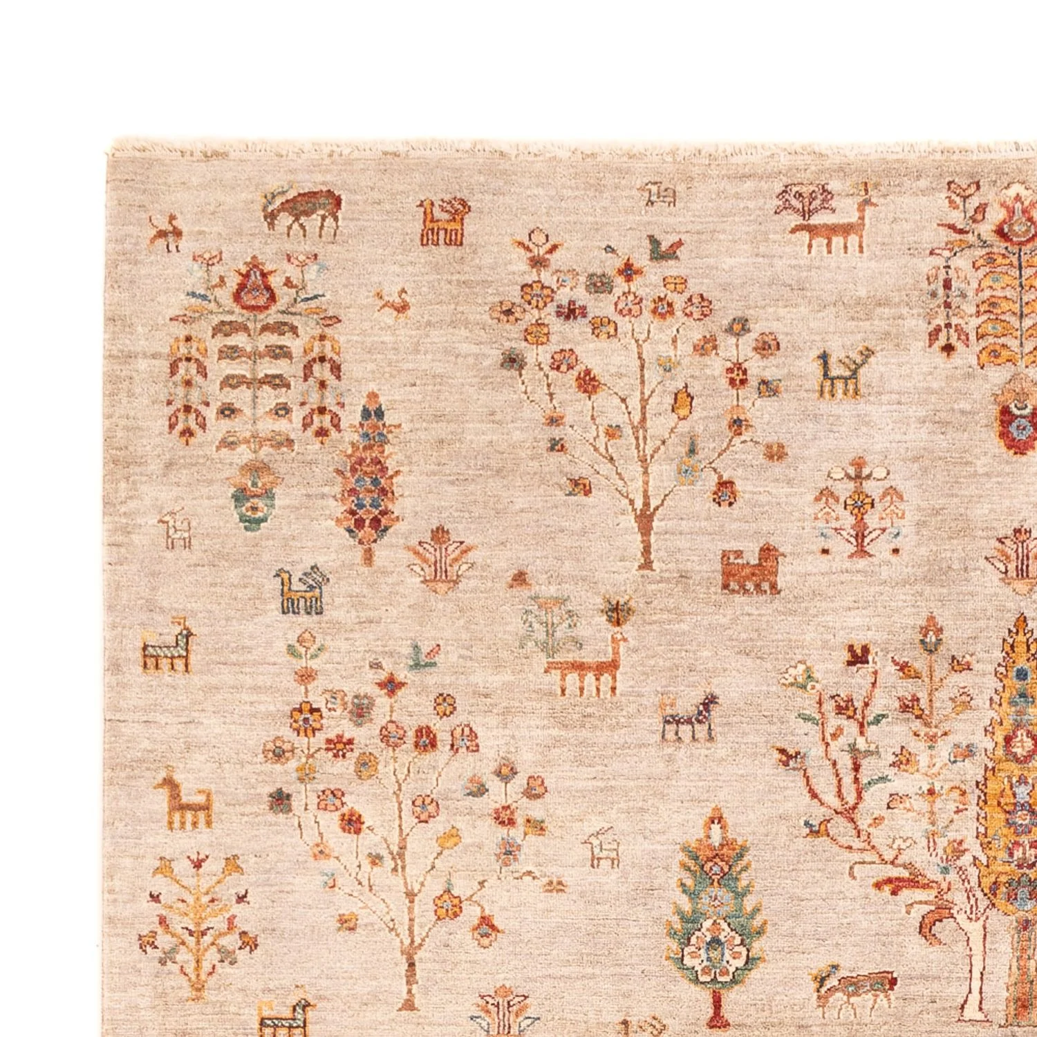 Ziegler Teppich - Ariana - 292 x 204 cm - rosa - Image 3