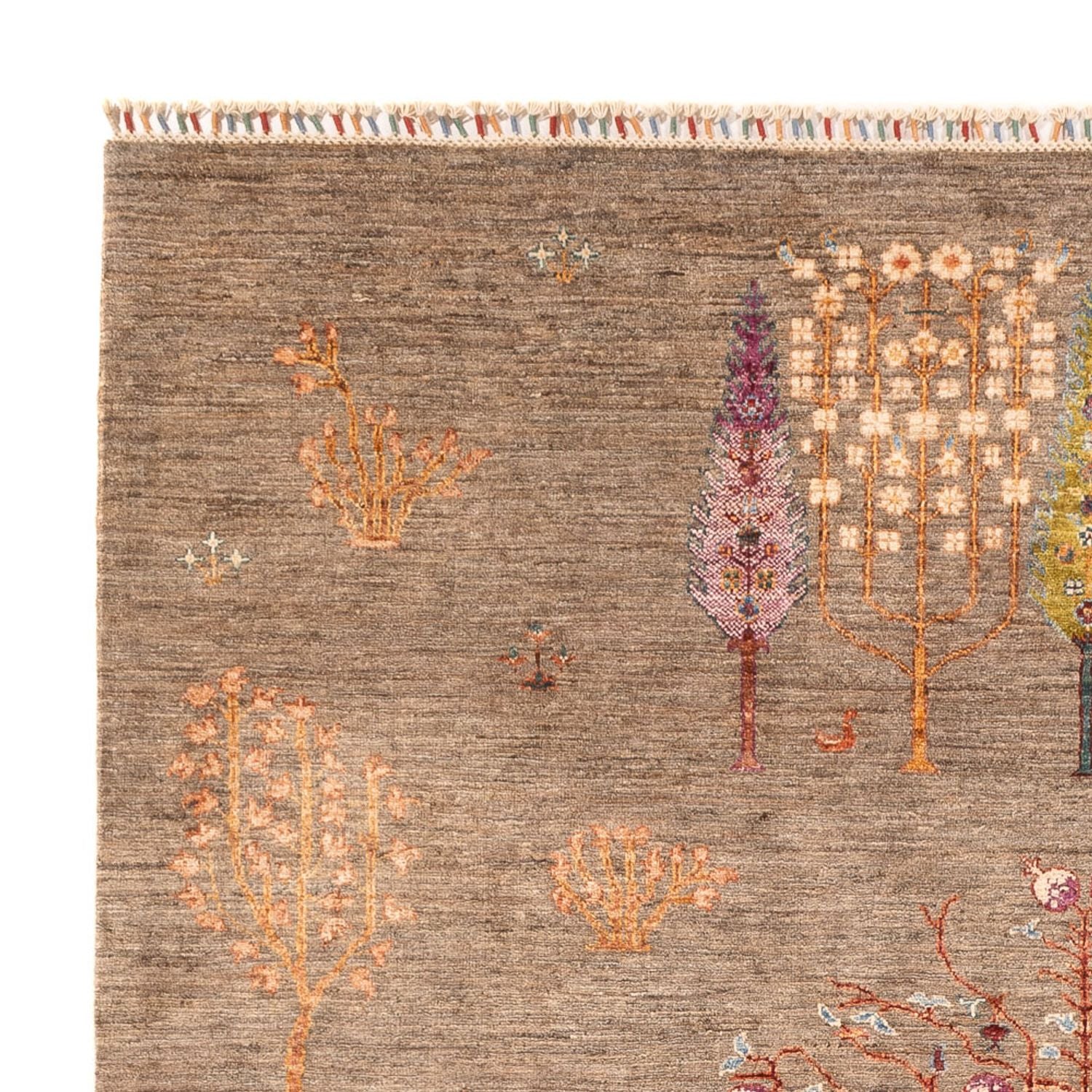 Ziegler Teppich - Ariana - 293 x 208 cm - dunkelbeige - Image 3