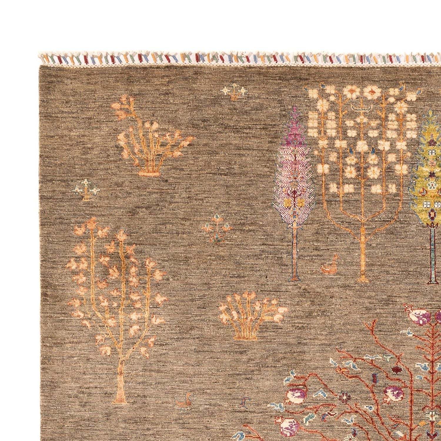Ziegler Teppich - Ariana - 296 x 205 cm - dunkelbeige - Image 3