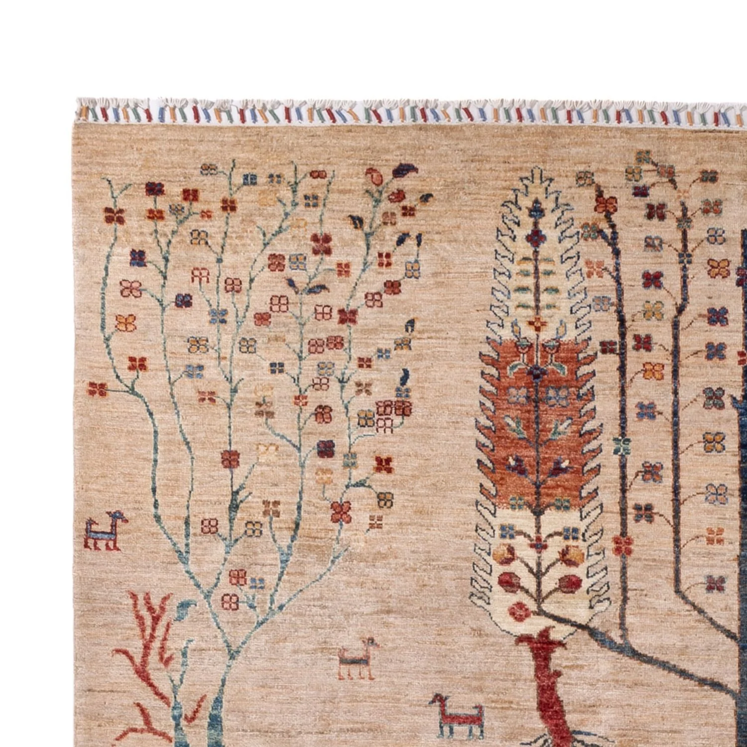 Ziegler Teppich - Ariana - 303 x 204 cm - beige - Image 3