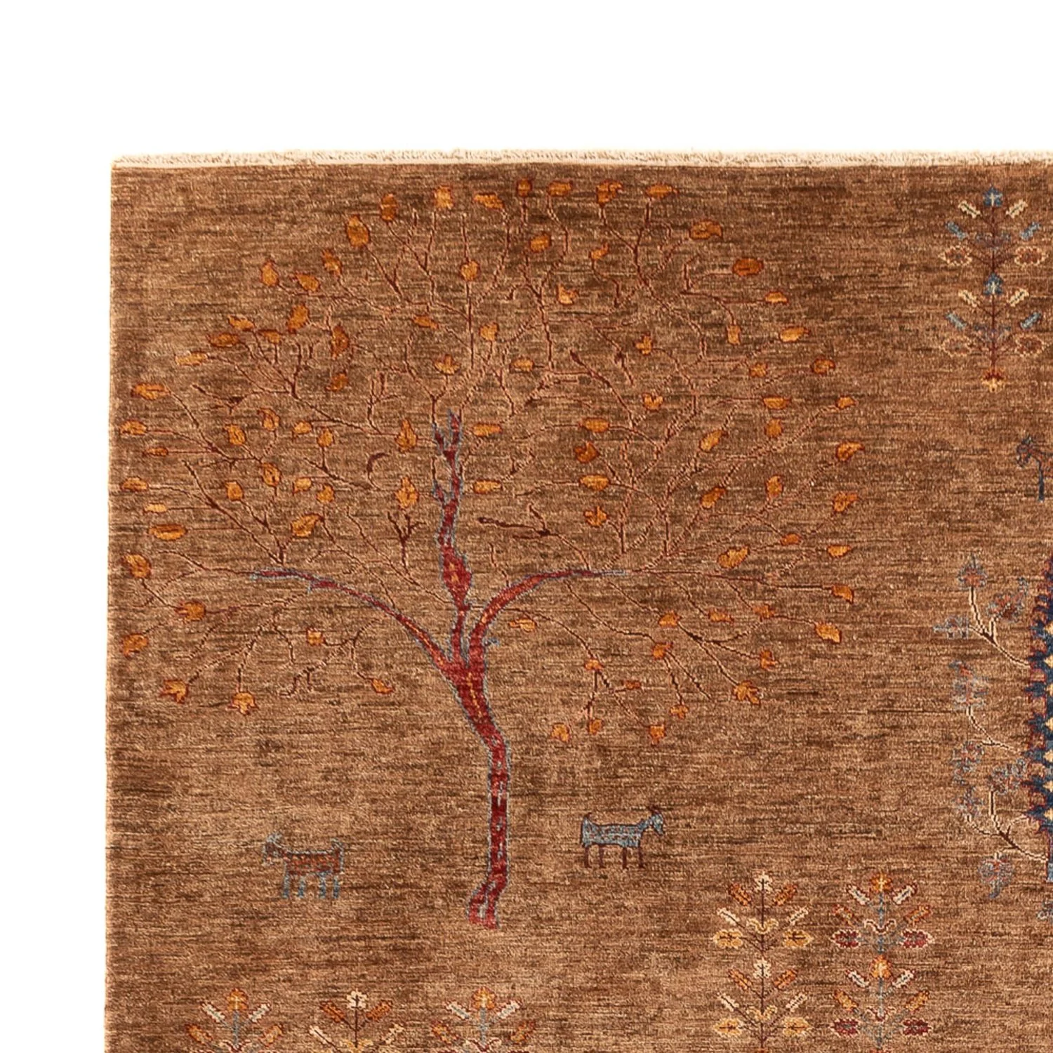 Ziegler Teppich - Ariana - 336 x 243 cm - braun - Image 3