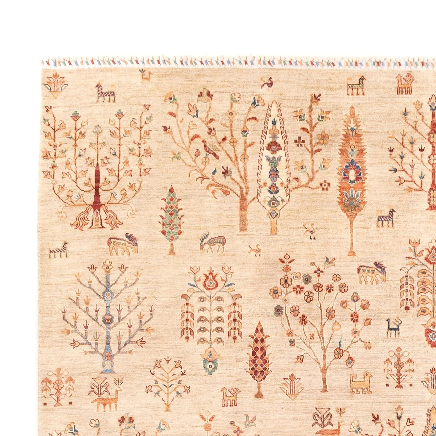 Ziegler Teppich - Ariana - 337 x 247 cm - beige - Image 3
