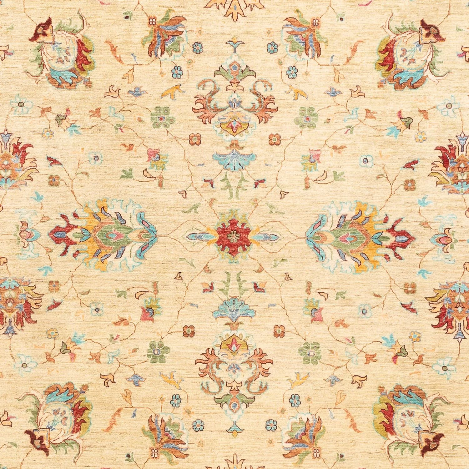 Ziegler Teppich - Ariana - 346 x 241 cm - beige - Image 2