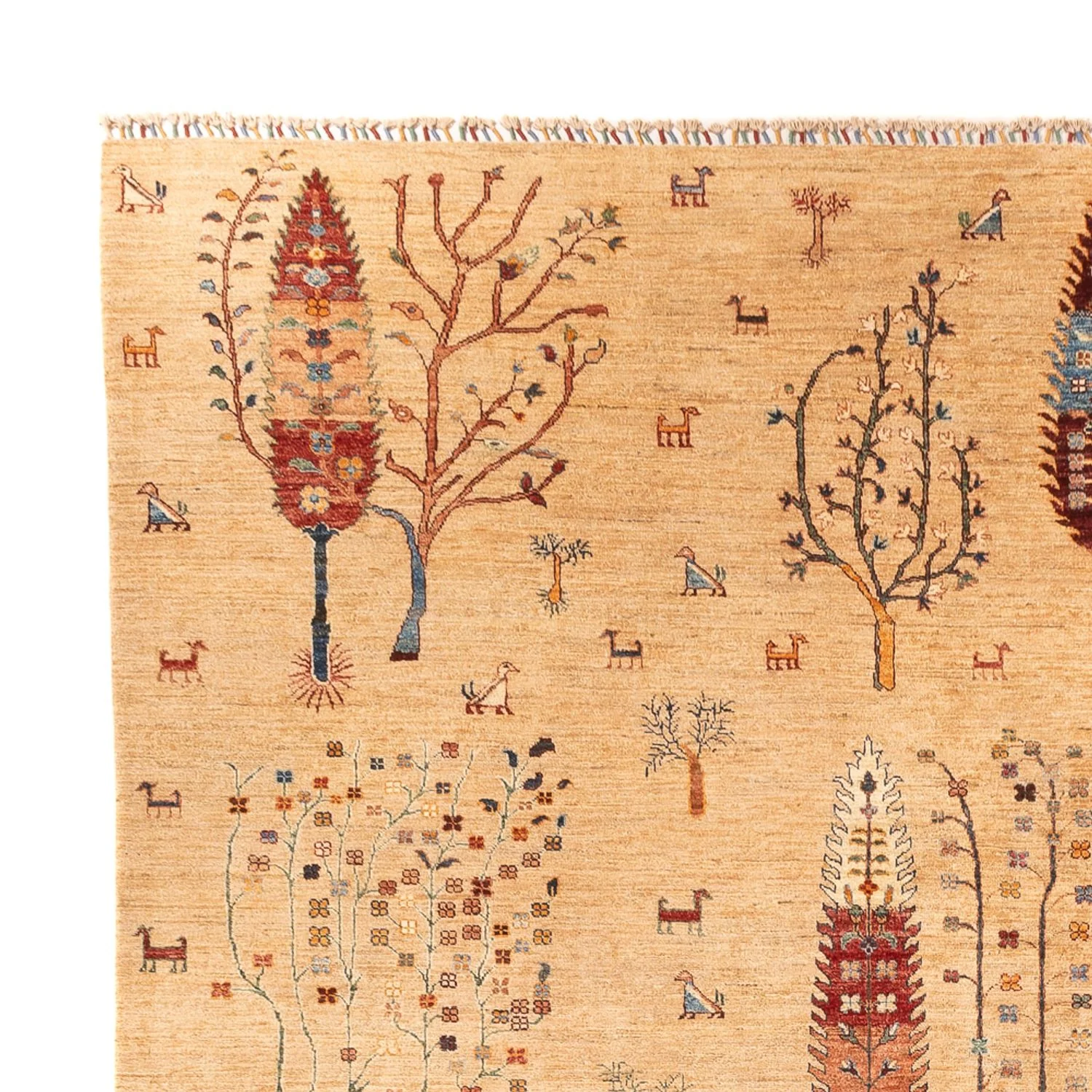 Ziegler Teppich - Ariana - 388 x 298 cm - beige - Image 3