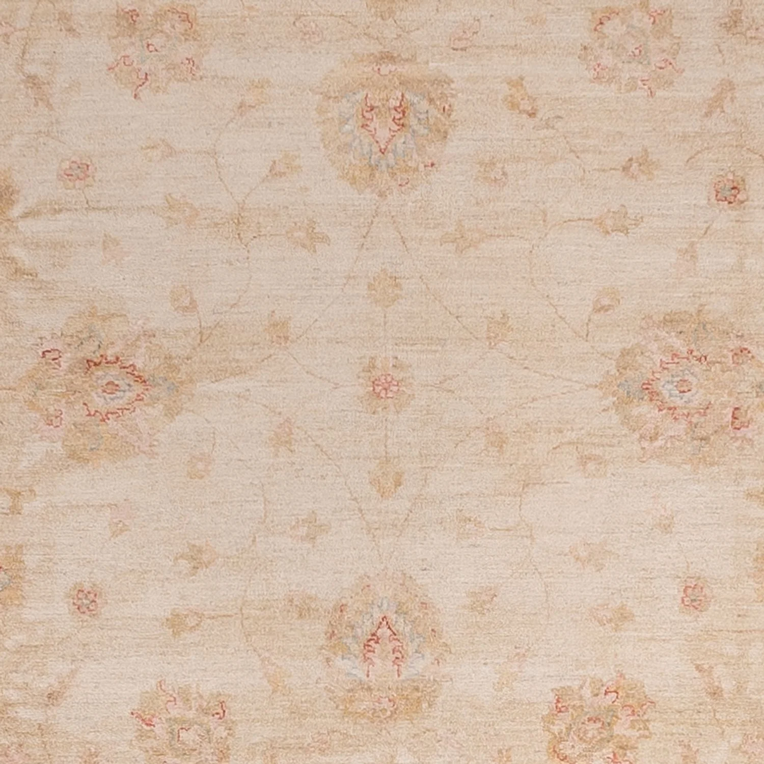 Ziegler Teppich 345x340cm - Orientteppich - Image 2