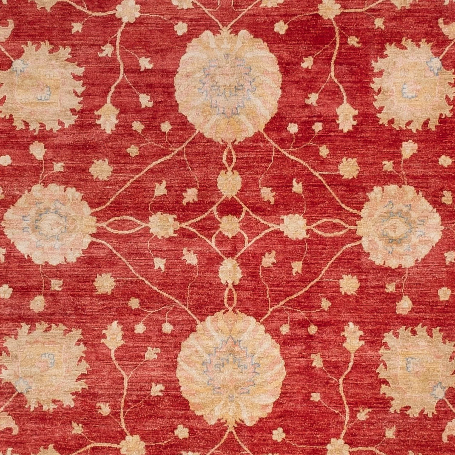 Ziegler Teppich 403x392cm - Orientteppich - Image 2